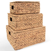 Wicker Storage Baskets with Lids