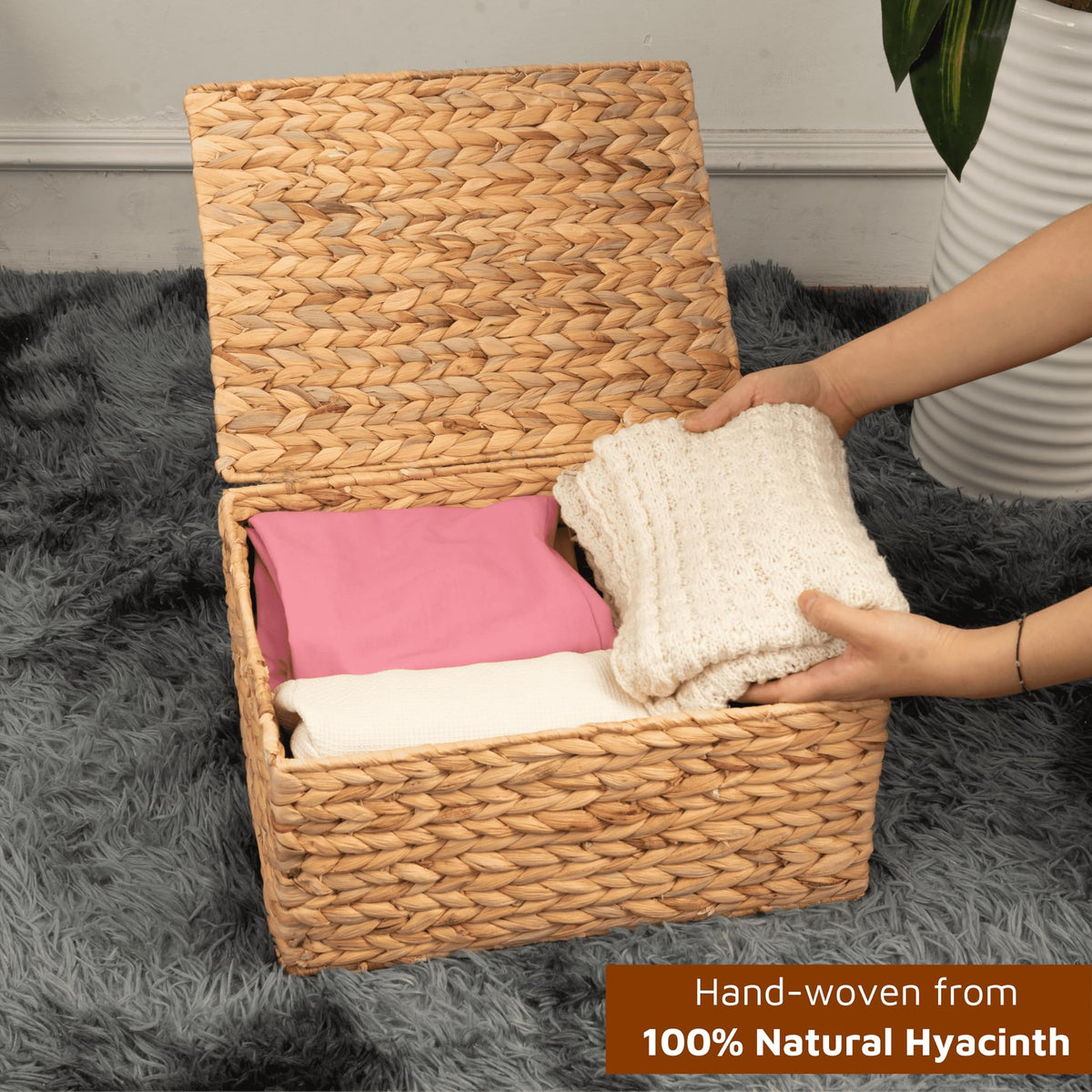 Wicker Storage Baskets with Lids